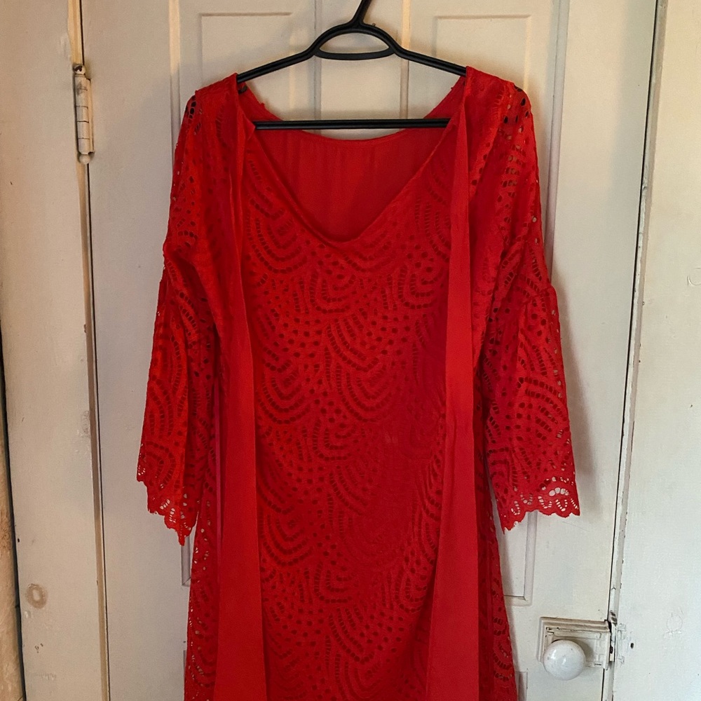 NWOT gorgeous lace dress - Picture 5 of 8